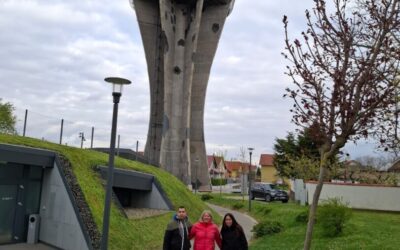 Terenska nastava u Vukovaru