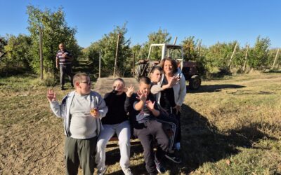 Berba jabuka i dan u prirodi – posjet OPG-u Buljat